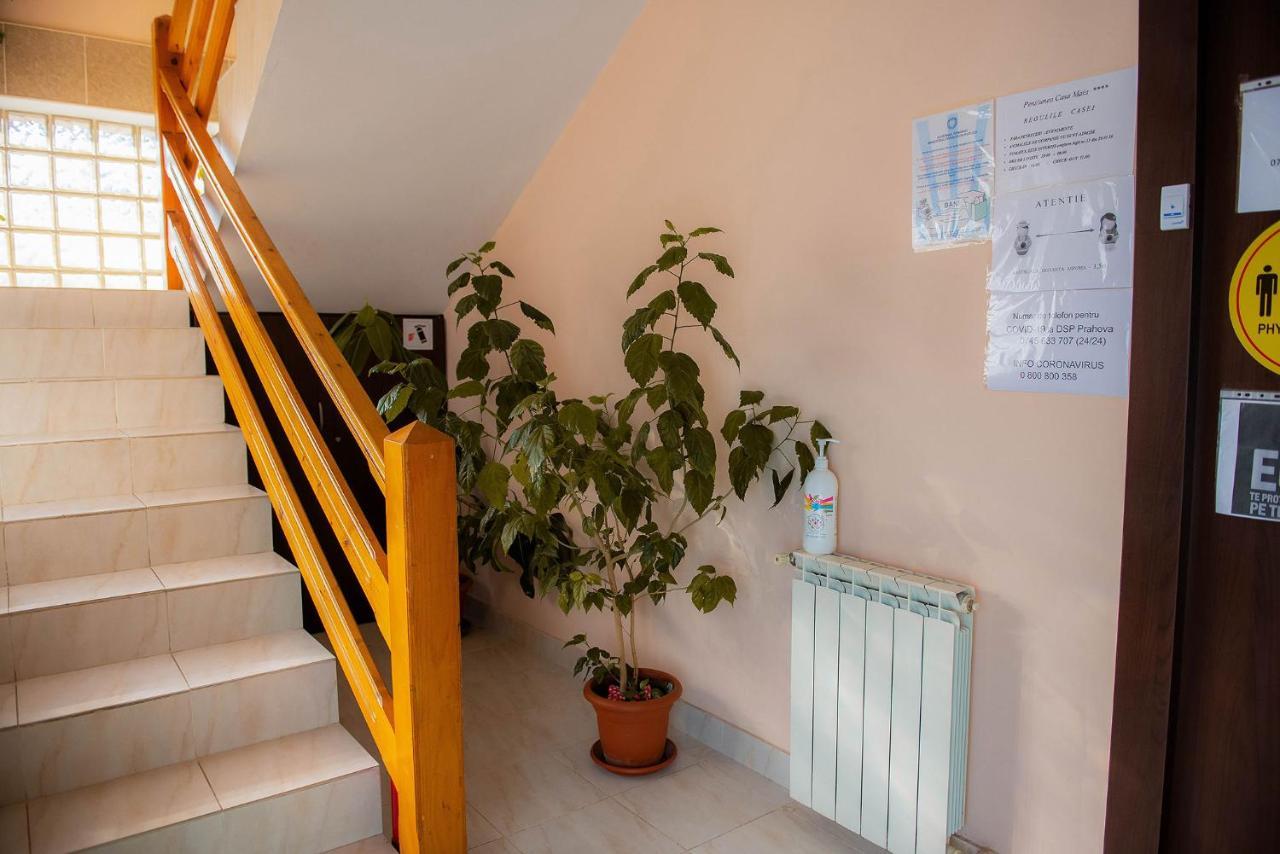 Hotel Casa Maia Buşteni Exterior foto